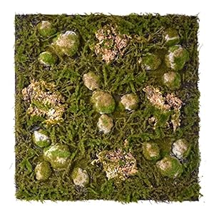 Repiterra 3D Naturlook Terrarienrückwand 58x58cm