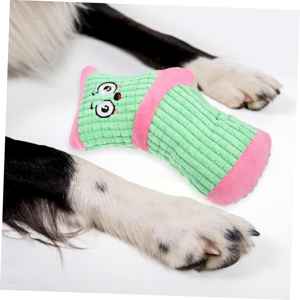 BESPORTBLE 10stücke Plüsch Spielzeug Für Kleine Hunde Quietschendes Kauspielzeug Sockenform Für Welpen Und Zahnpflege Langlebig Und Farbenfroh -grün