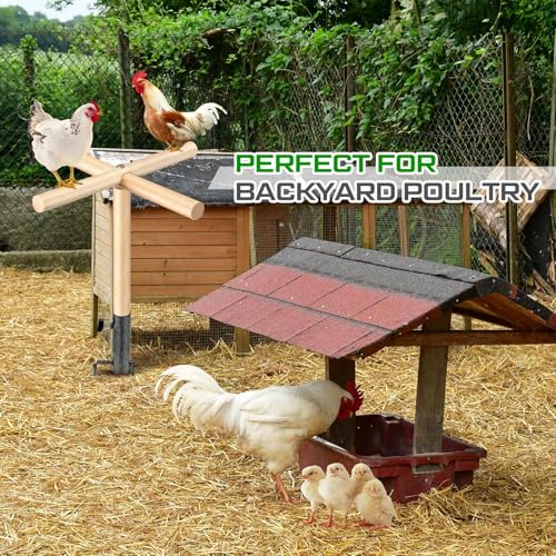 Image of Colingmill Chicken Perch Toy for Coop 16.54 x 17.72 Inch Wooden Chicken Perch Stand with Metal Ground Plug Chicken Coop Accessories Outdoor Poultry Playground Toys or Poultry Rooster Large Bird Parrot