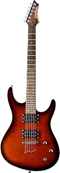 Washburn 値下げ！ Washburn RX22FWSB Electric Guitar, Flame Wine Sunburst