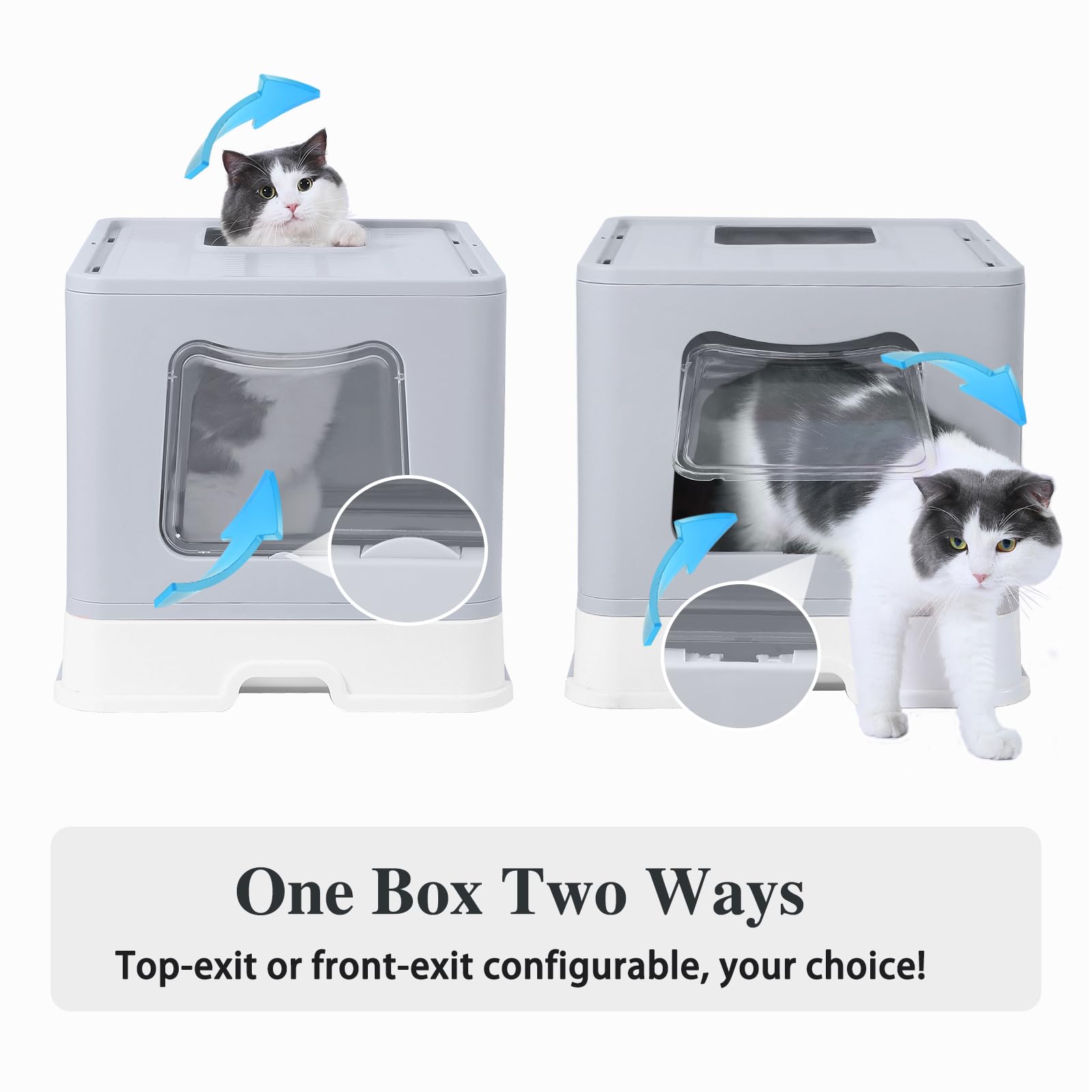 https://m.media-amazon.com/images/I/61BGHVQWj9L.jpg