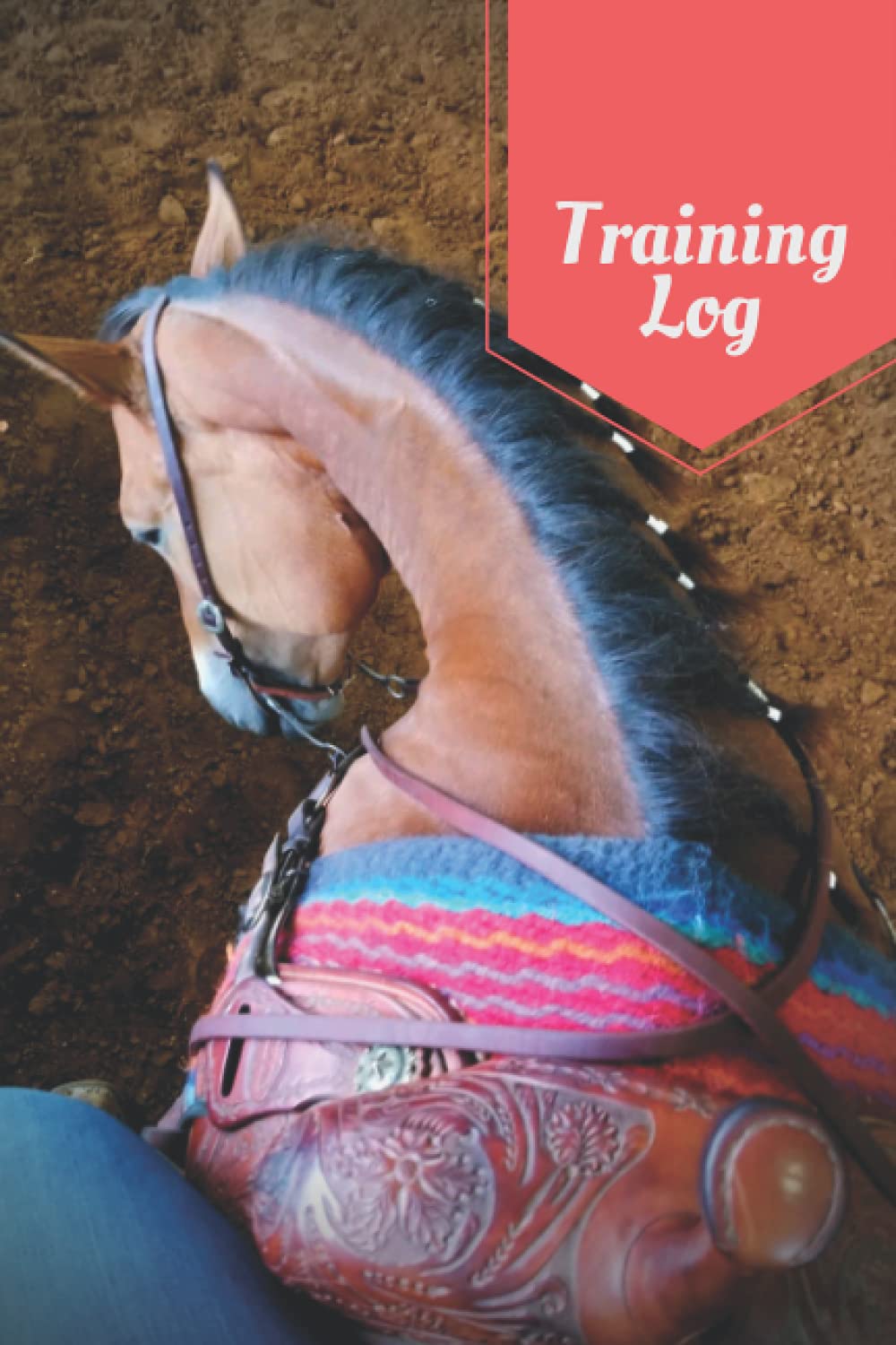 Look Back: Training Log