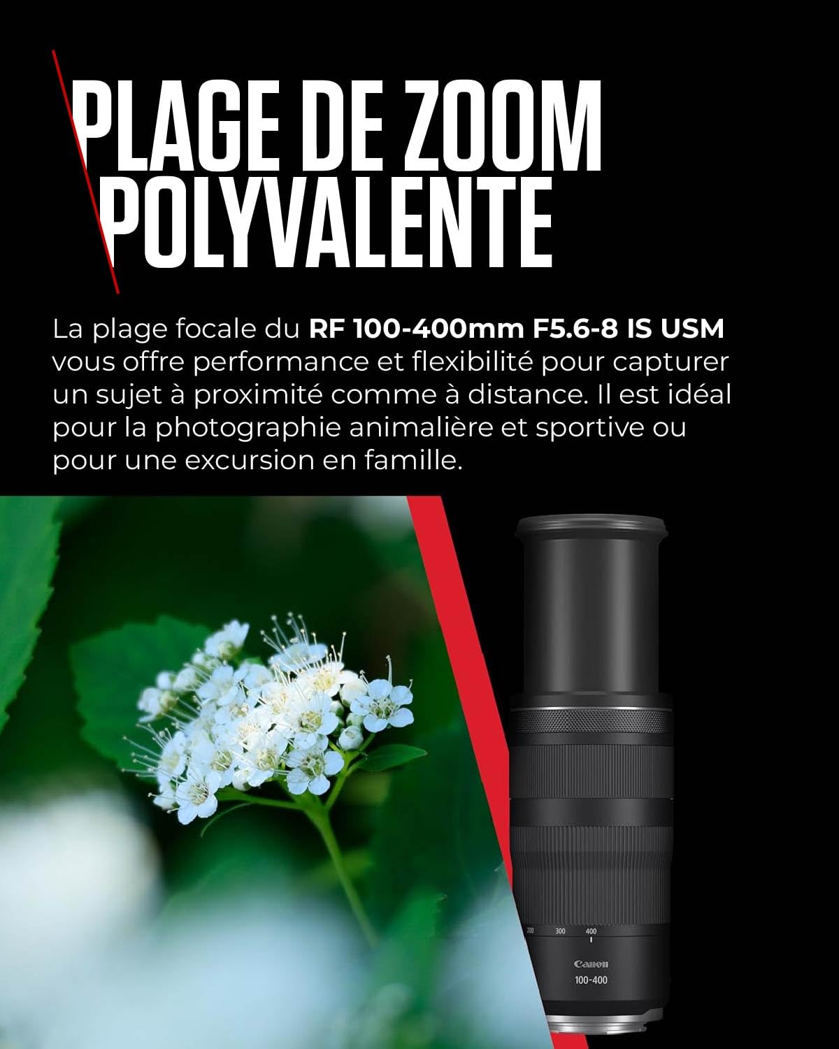 Objectif Canon RF 100-400mm F5.6-8 IS USM, téléobjectif zoom, stabilisateur d'image 5,5 vitesses, photo sportive/animalière, compatible Canon EOS R