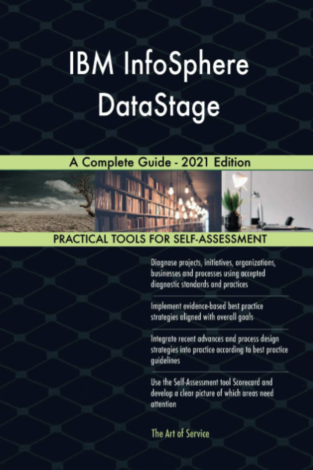 IBM InfoSphere DataStage A Complete Guide 2021 Edition The Art of Service IBM InfoSphere