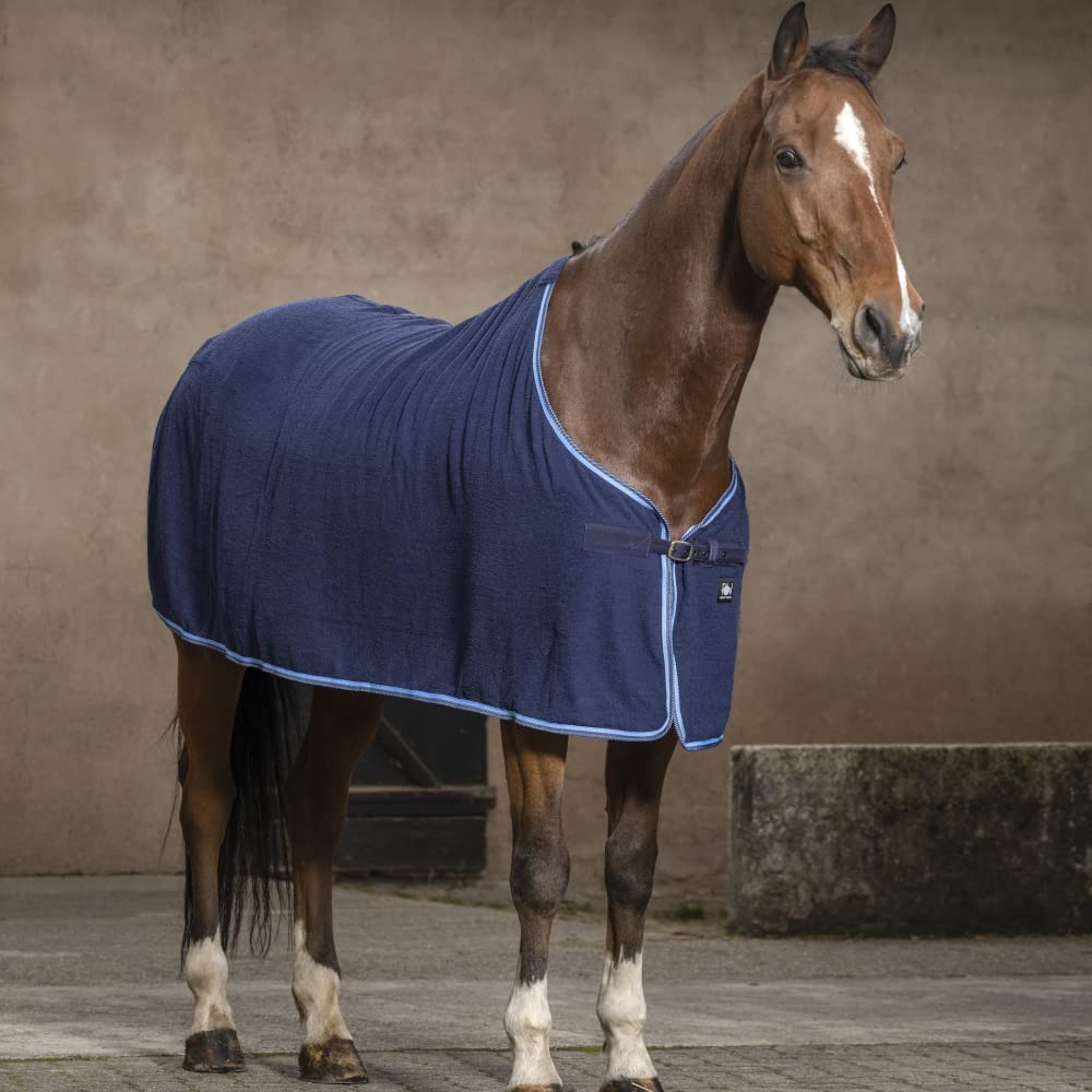 Chemise pour cheval éponge séchante rapide contre le coup de froid