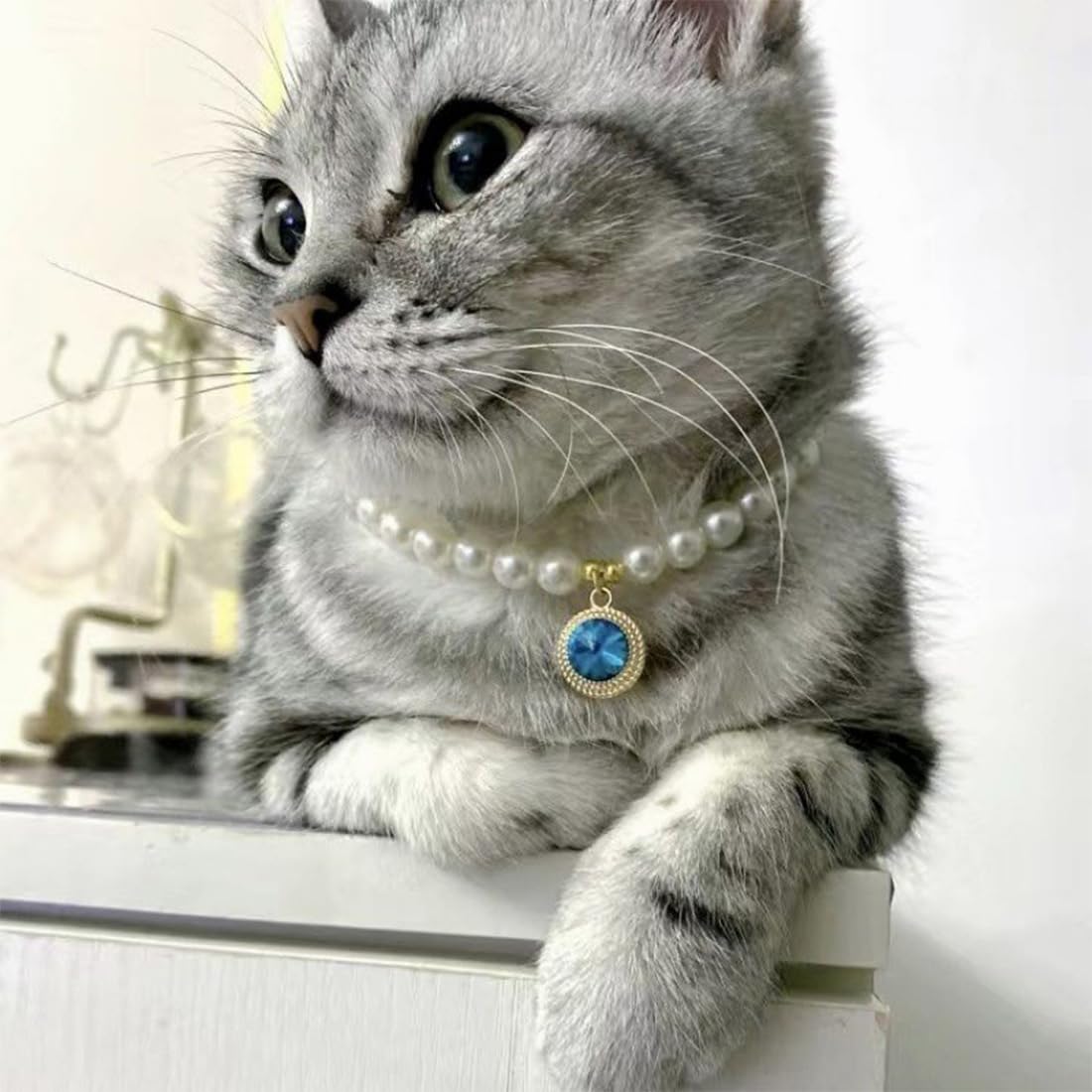Collana di Perle per Animali Domestici per Cani di Piccola Taglia e Gatti Regolabile con Perle Fantasia per Animali Domestici Gioielli Bling Strass Collare con Papillon Chihuahua