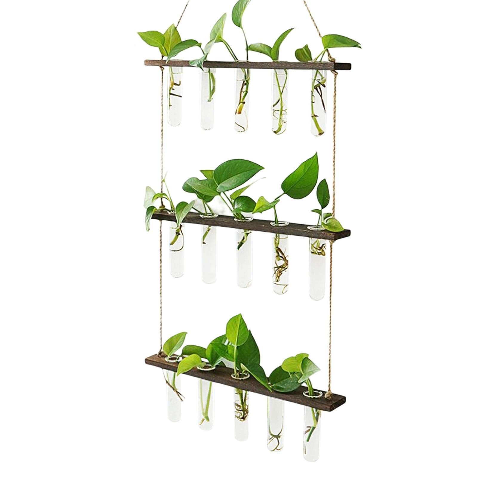 Hängevase aus Glas, Ausbreitungsstation für Pflanzen Pflanzkübel Pflanzkübel Hängende Pflanzkübel aus Glas, moderne Glasröhrchen für Innen für Blumen mit Holzständer für