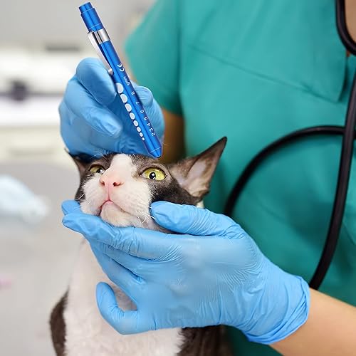 Miniatura 7 de 10 lámparas LED reutilizables para enfermeras, con calibre de pupila, luz para enfermeras, alfileres para antorcha, estudiantes de medicina,