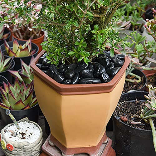 Hisredsun 1,8 kg Dekosteine Flusskiesel für Aquarium, Blumentopf, Landschaftsbau, Vasenfüller und Gartendekoration