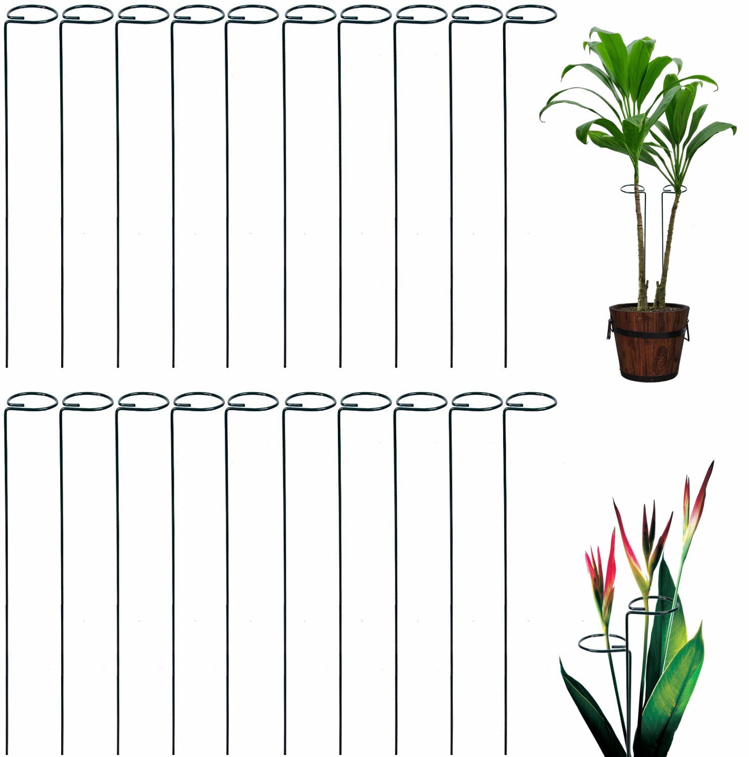 Tingyuan Single Stem Plant Support Stakes