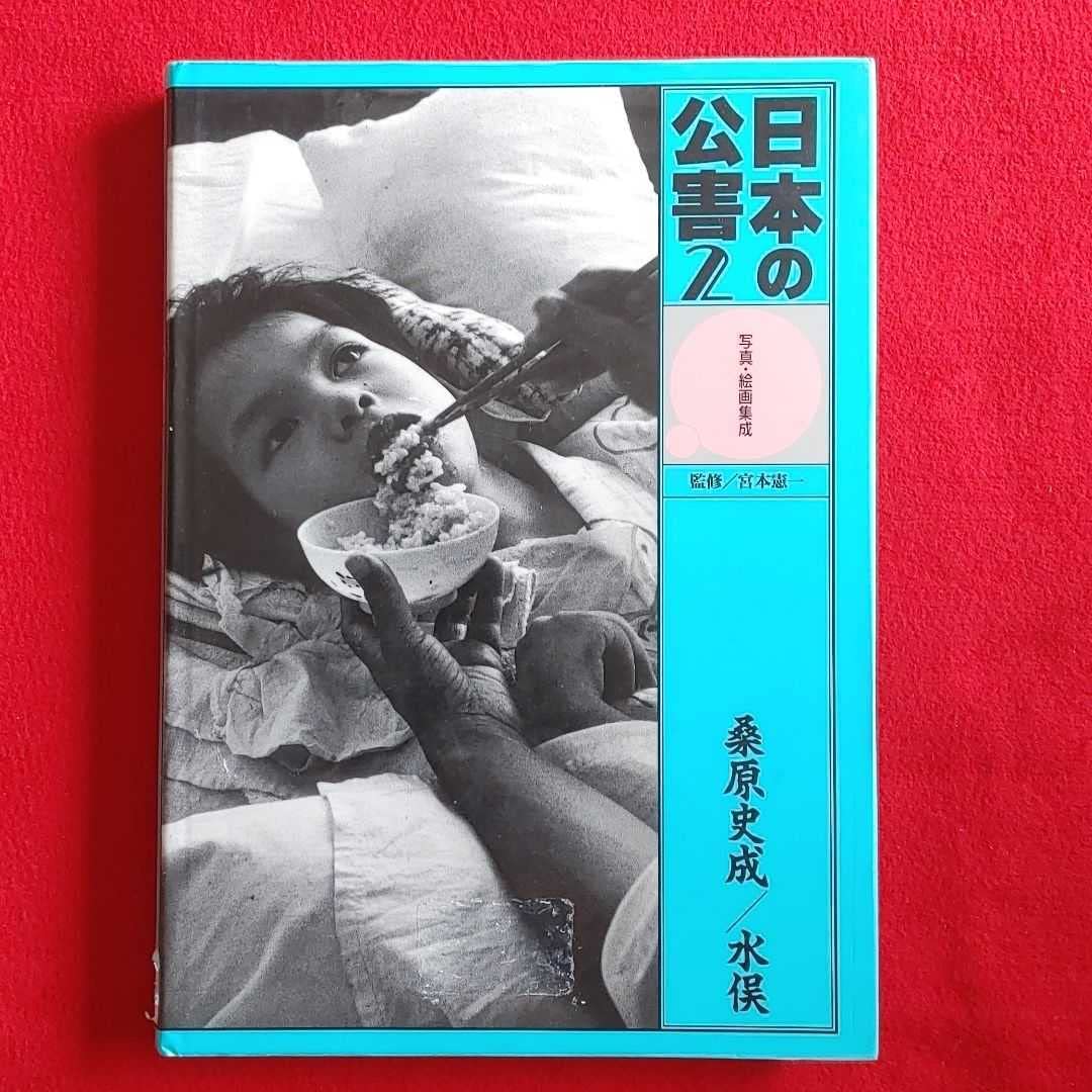 日本の公害 写真・絵画集成  /日本図書センタ-（大型本） 日本の公害 写真・絵画集成 /日本図書センタ-（大型本） Amazon