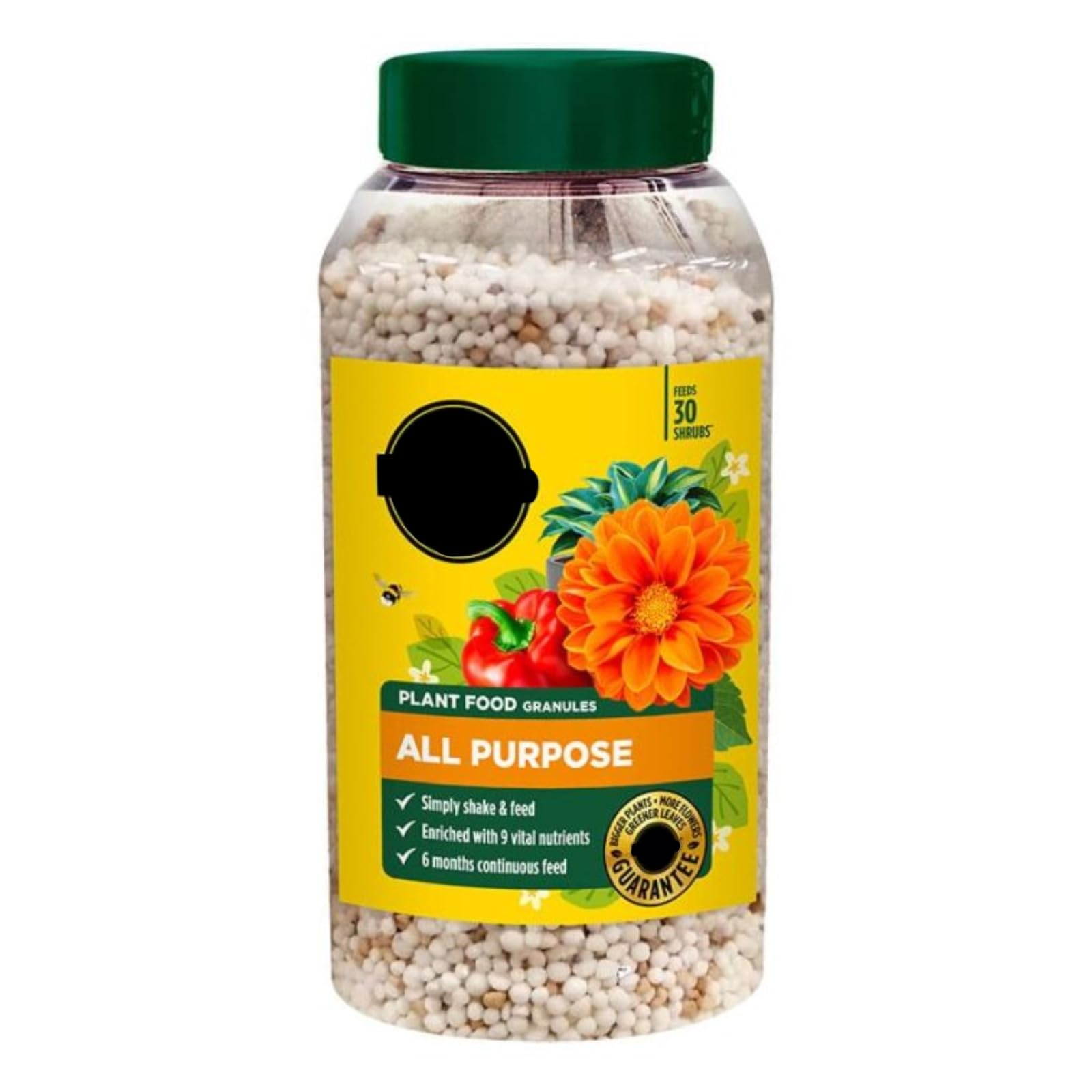 Controlled Release Plant Food Granules 6-Month Feed, All-Purpose Fertiliser for Indoor & Outdoor Plants, Pots, Hanging Baskets & Containers, NPK 17-9-11 with Magnesium & Micronutrients, 900g