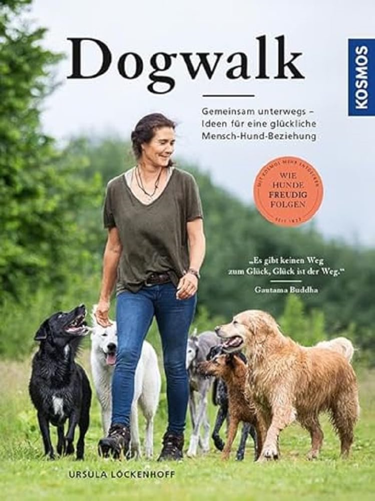 Dogwalk: Wie Hunde freudig folgen