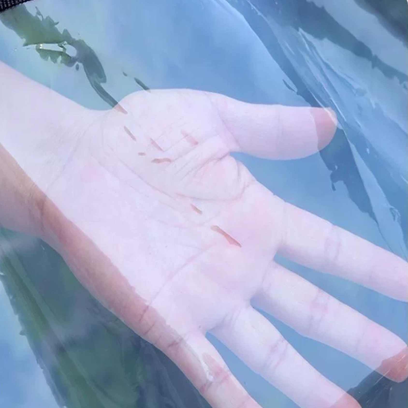 Bâche Transparente PE 90%, avec Œillets, Imperméable pour Mobilier