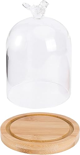 SOIMISS Tarro de campana de cristal con base de madera, cubierta de pastel de vidrio, vitrina decorativa de mesa para plantas, flores, suculentas,