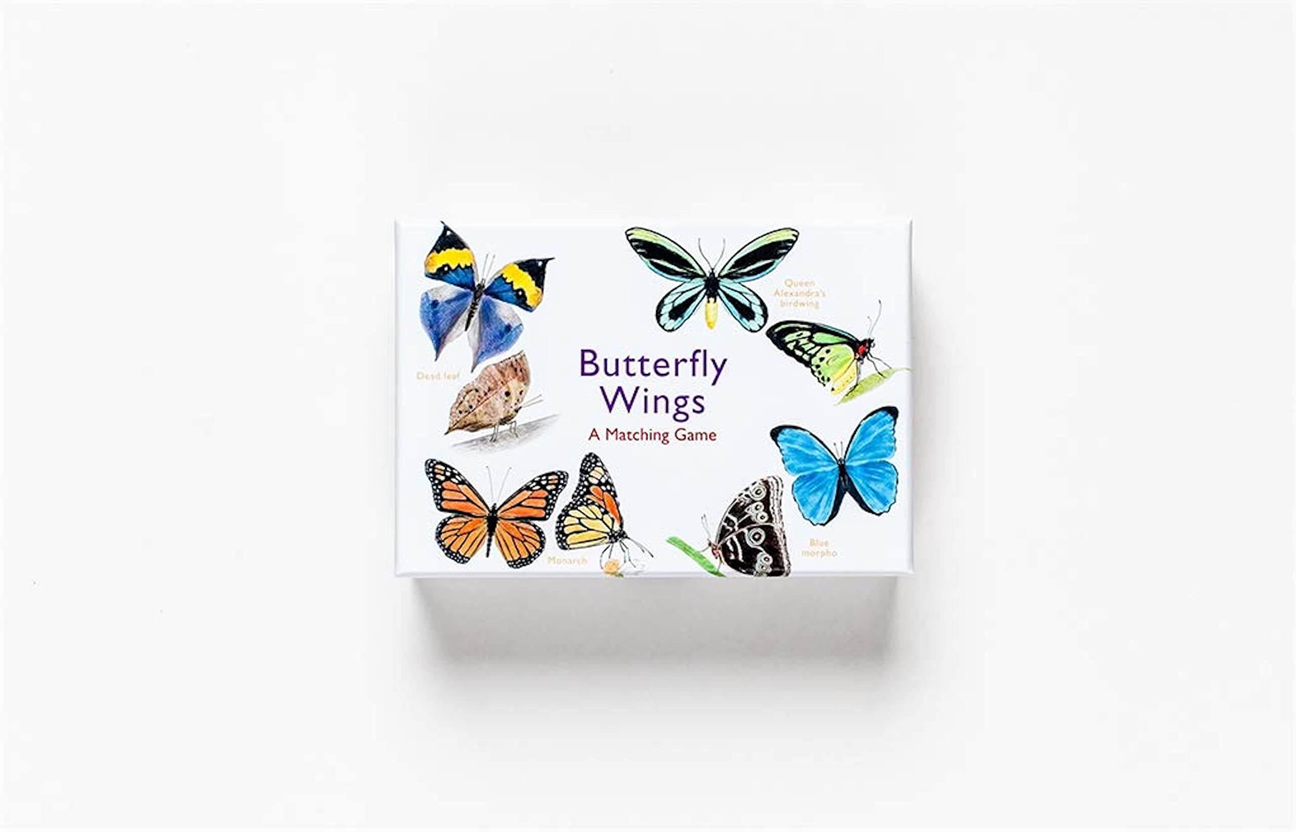 Butterfly Wings: A Matching Game - Image 8