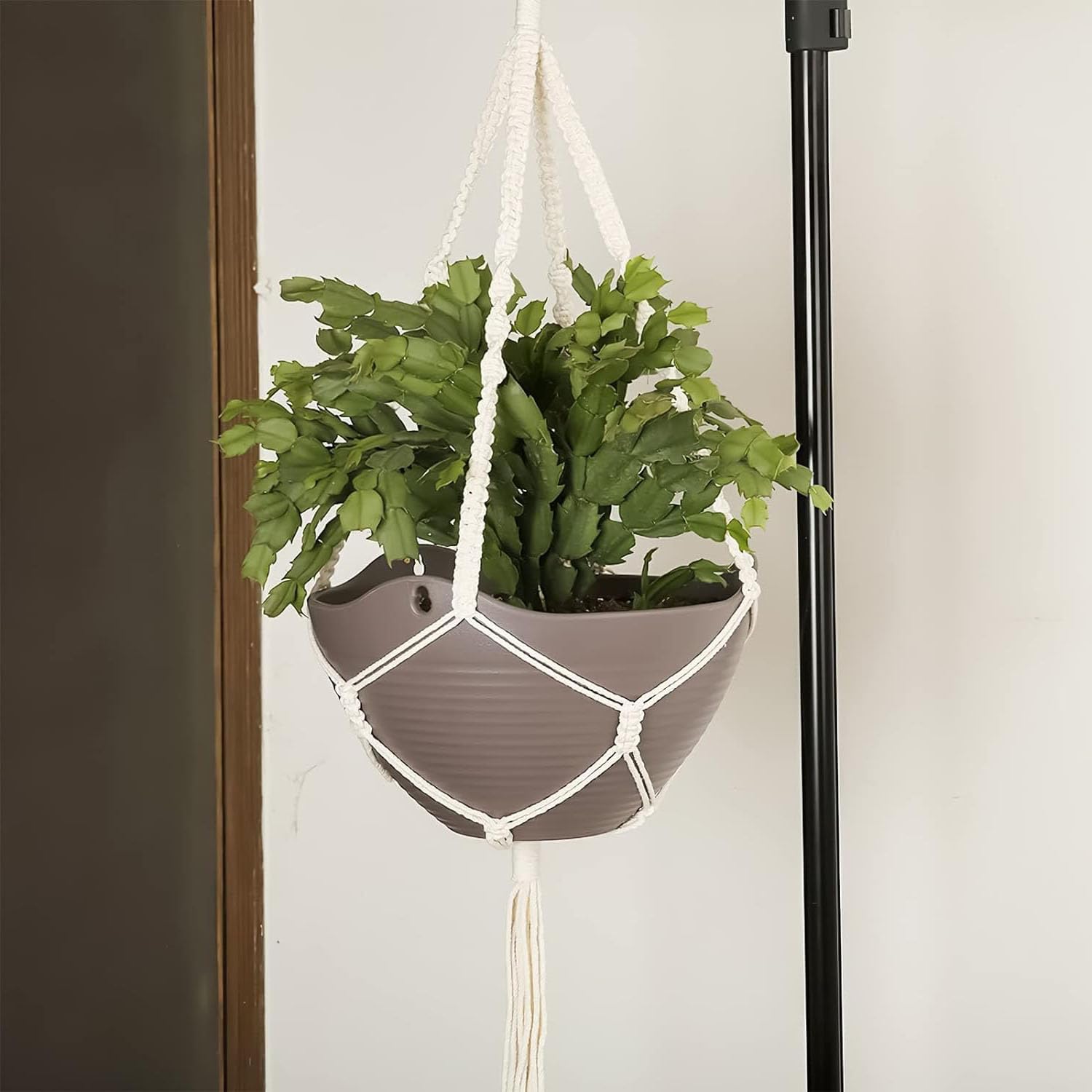 Natural Cotton Clothesline Pulley, Snag & Tear Resistant, 30m X 5.5mm, Soft Braided 190kgs Pulling Force Rope - Image 4