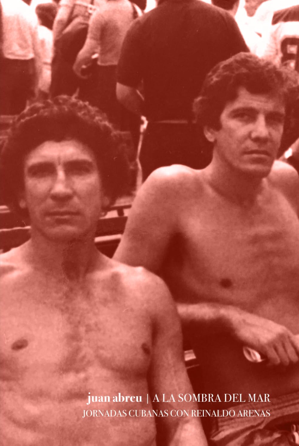 A la sombra del mar: Jornadas cubanas con Reinaldo Arenas