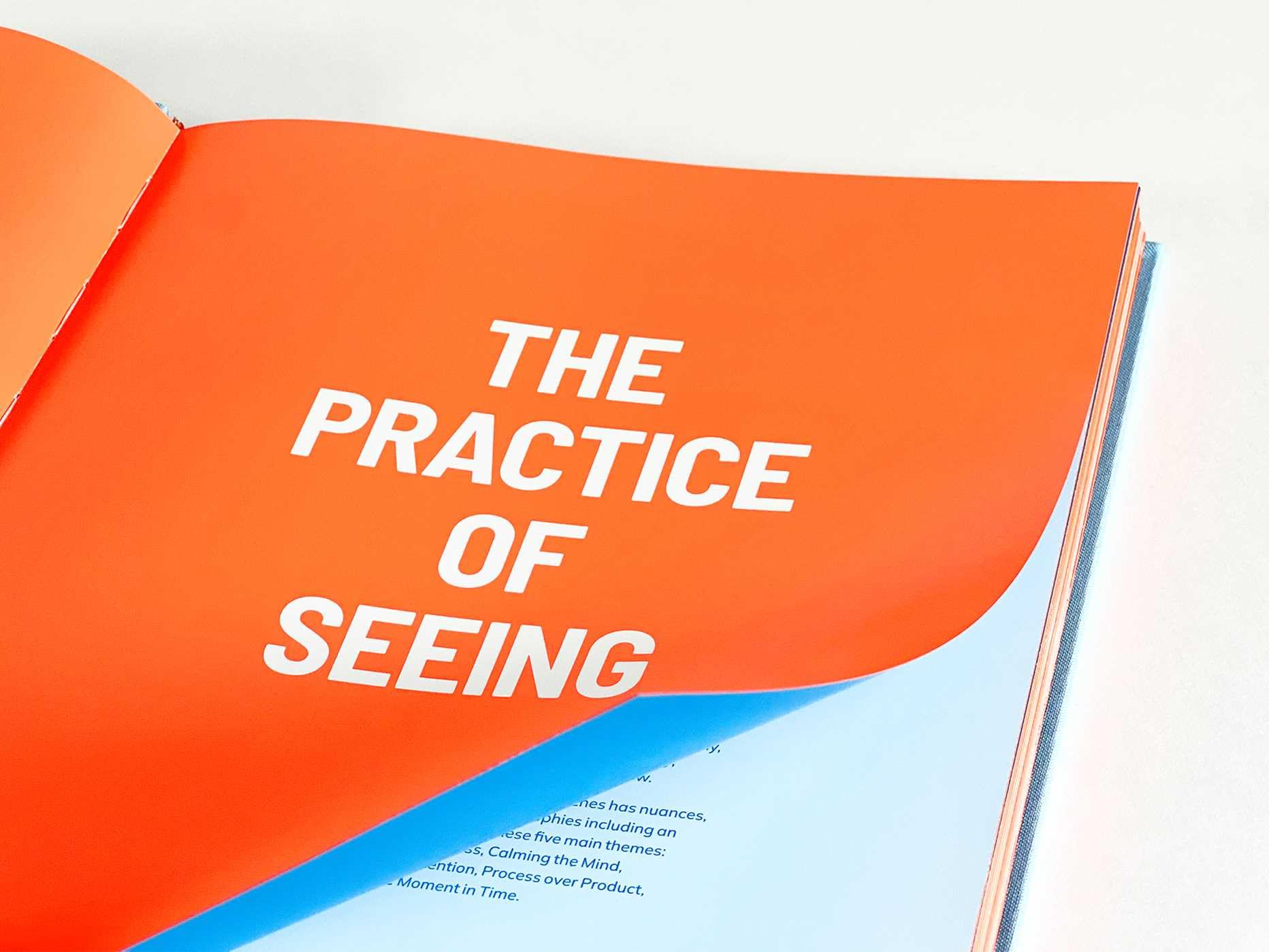 Seeing Differently: Miami Color Theory