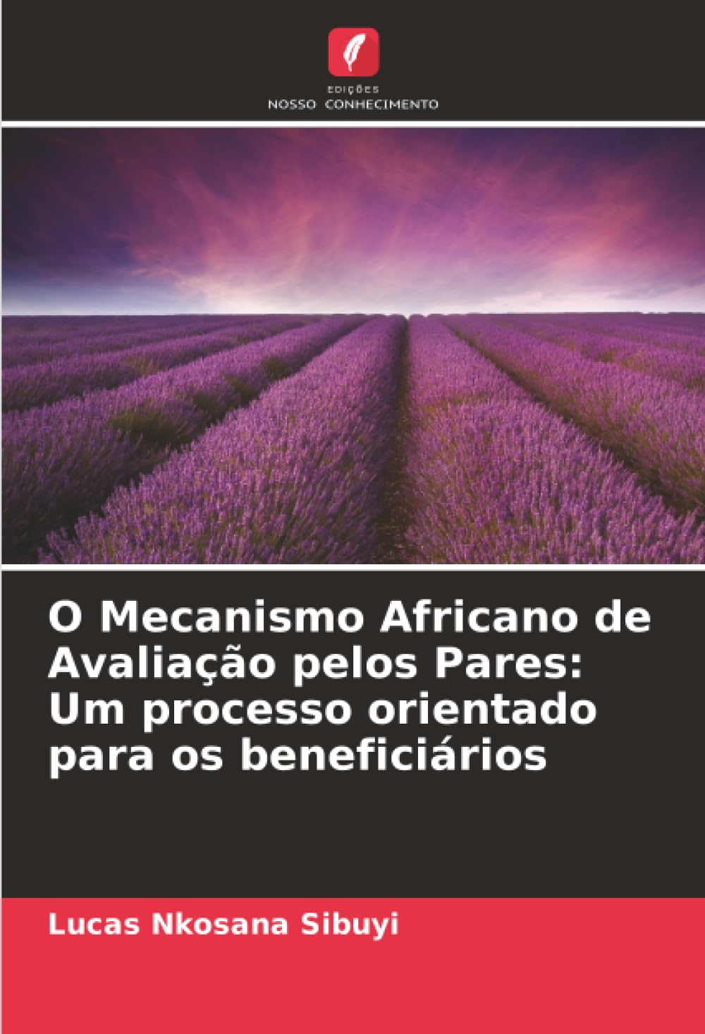 O Mecanismo Africano de Avaliação pelos Pares: Um processo orientado para os beneficiários