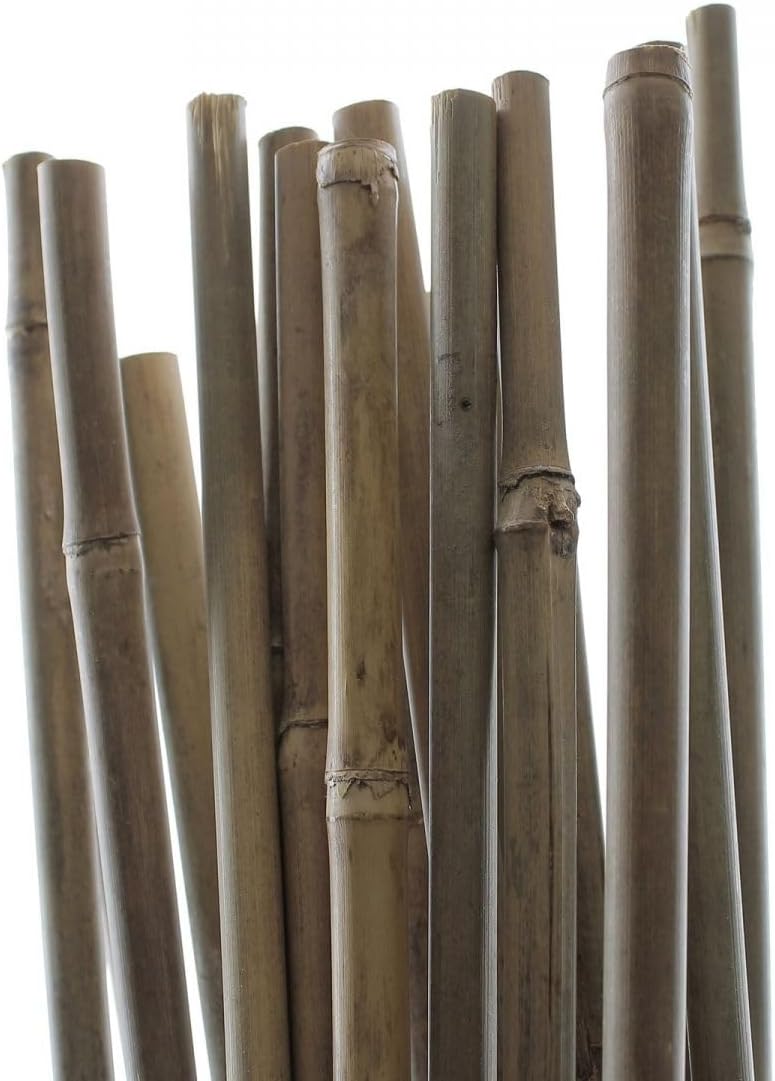 PLANT IT 10-480-062 5 ft Bamboo Stakes - Beige (Pack of 25)