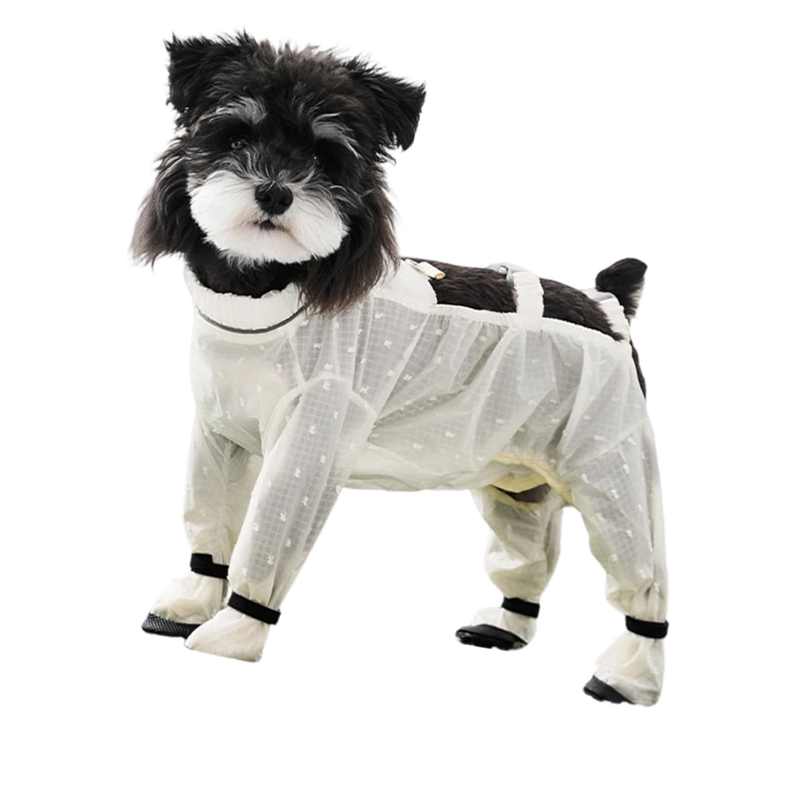 Pantalon de protection anti-poussière chien étanche pour promenade