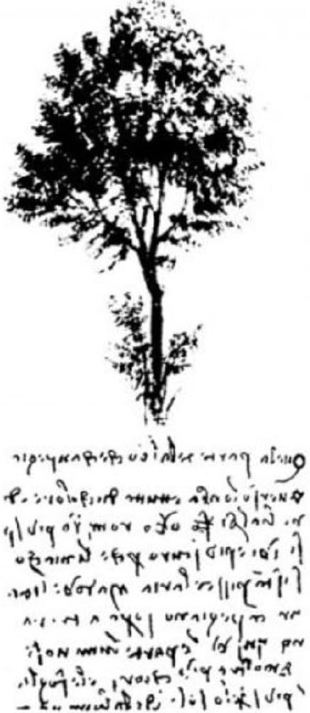 Nature Study Tree and Script Romantic Writing Stampington And Co Wooden Rubber Stamp