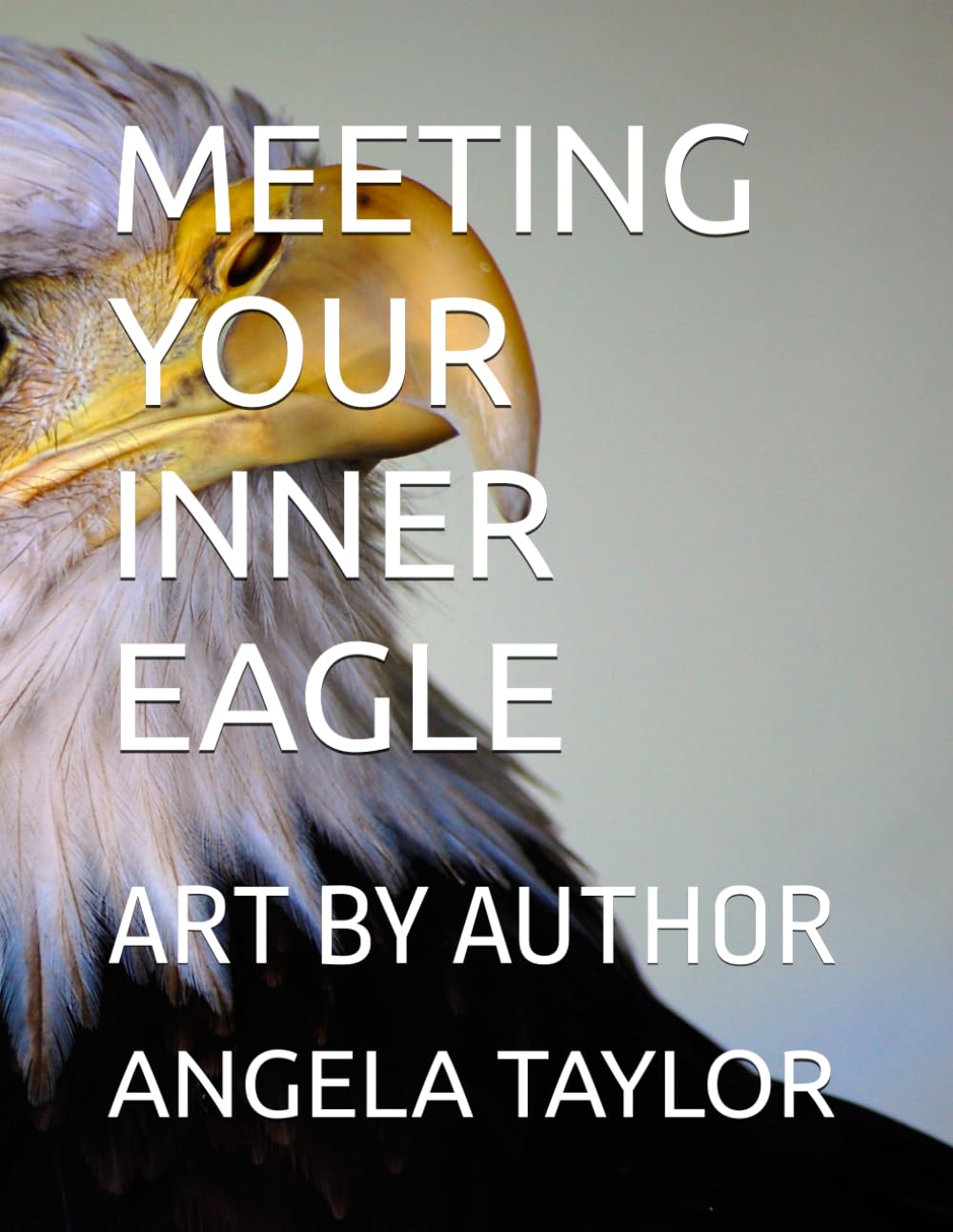 MEETING YOUR INNER EAGLE: ART BY AUTHOR (MEETING WILDLIFE FRIENDS HAVING EPIC ADVENTURES SERIES)