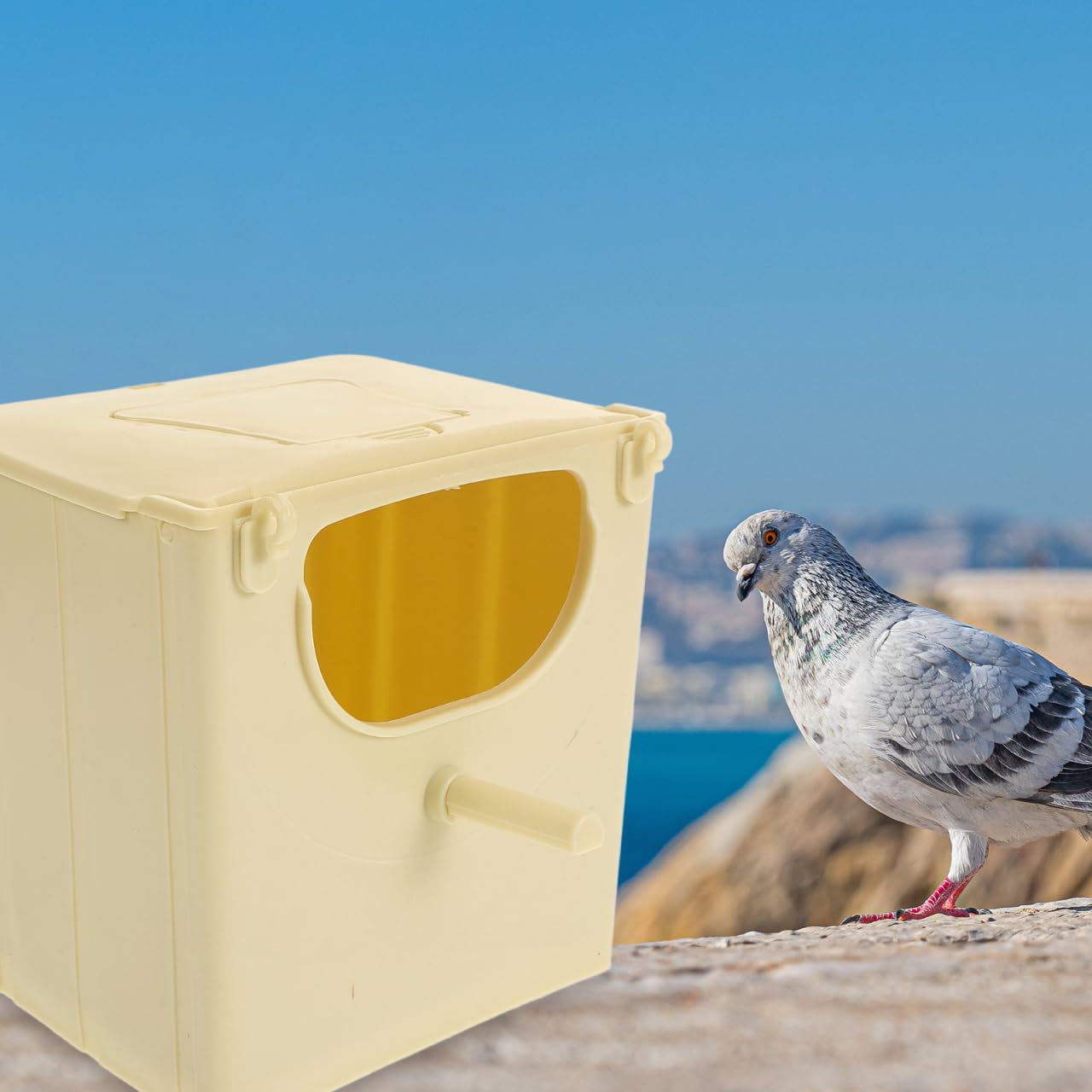 Happyyami Nichoir À Oiseaux Suspendu en Plastique 3 Pièces Boîte D'Élevage pour Perruches Calopsittes Conures Jardin Maison
