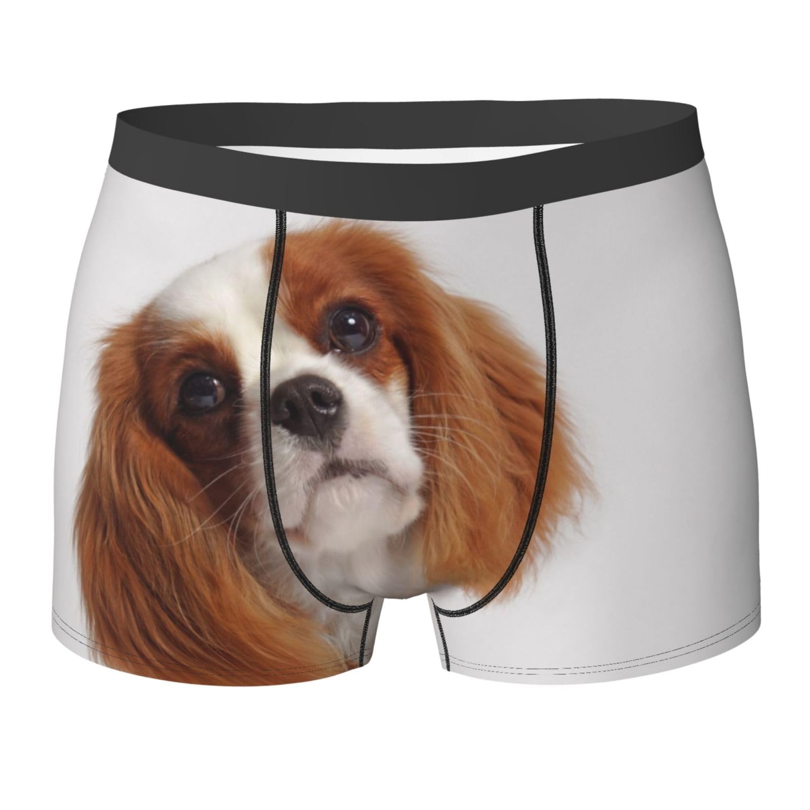 Poadnly Men's As Picture Cavalier King Charles Spaniel,Novelty Underwear Boxer Briefs Soft Polyester Underpants,L