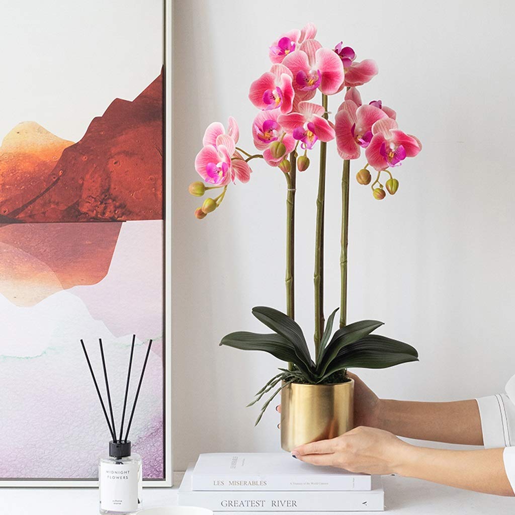 Ensemble de fleurs artificielles Phalaenopsis avec pot de fleurs, orchidée artificielle dans un vase, fausses fleurs pour le salon, belles fleurs et vases artificiels (couleur : B-3 Bra Interesting