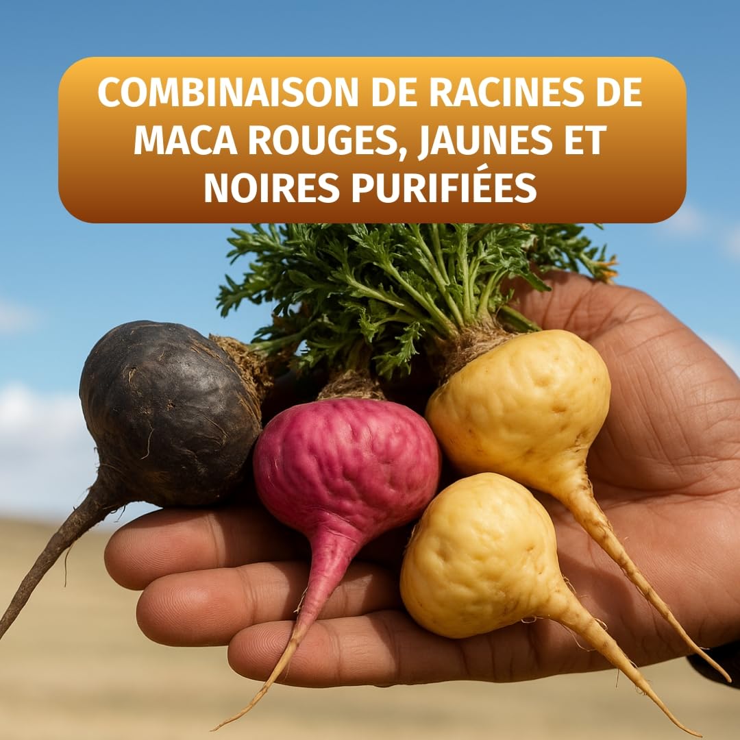 Green Naturals Maca Noir-Rouge-Jaune 40:1 – 2 800 mg extrait – 240 gélules | Équivaut à 112 000 mg de maca · Vegan · Cure de 2 mois · Testé en laboratoire
