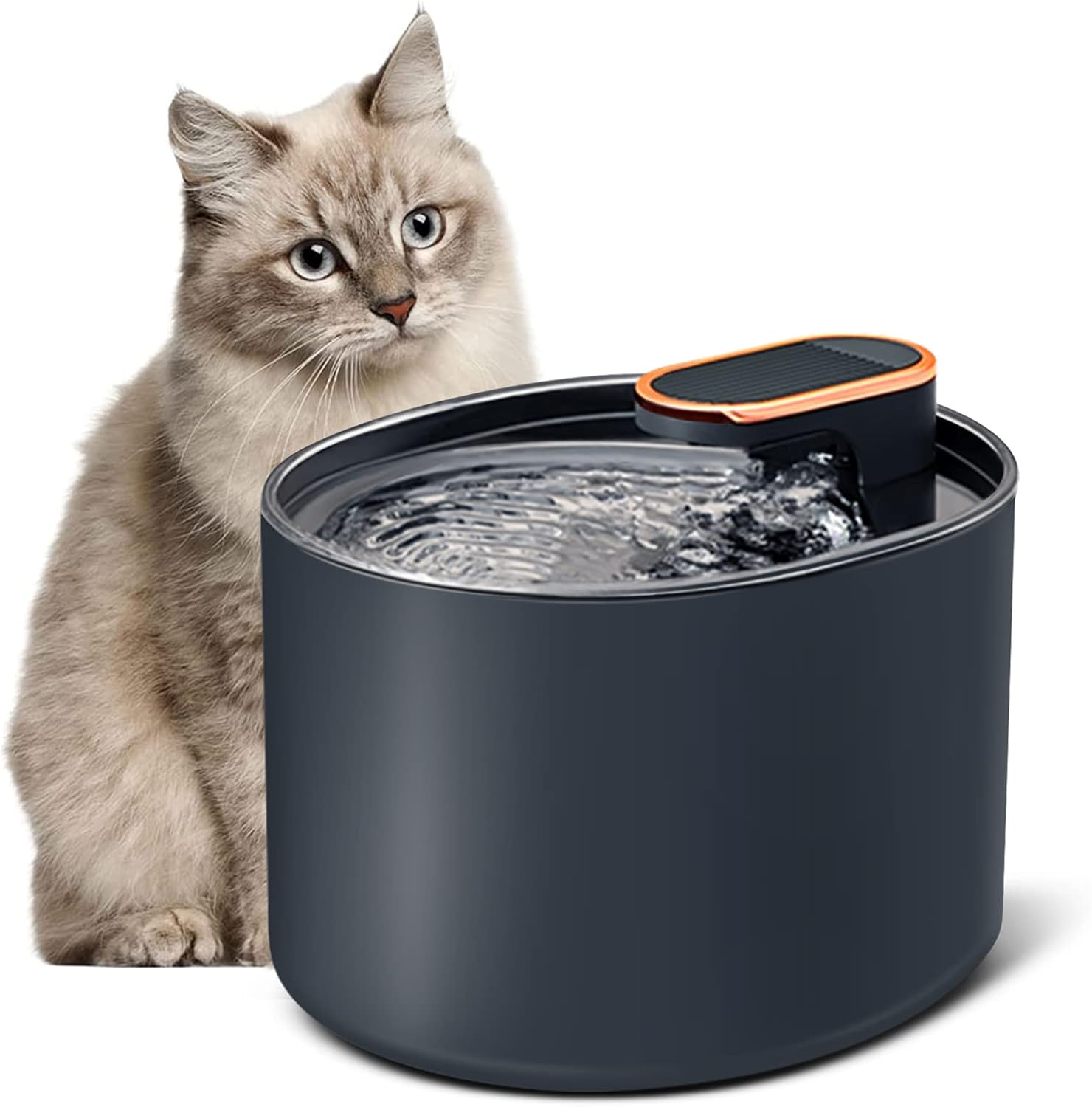 VEUWOLM Fuente para Gatos, 3 L Fuente para Gatos y Perros, Dispensador de Agua Y Gatos, Fuente de Agua con Luces Led Y Filtro de Carbono Activo