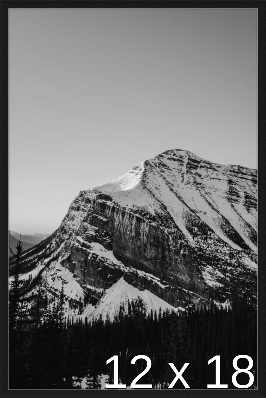 Frame It Easy 12 1/2 x 18 3/4 Satin Black Metal Frame (Ashford) 12.5x18.7 inches