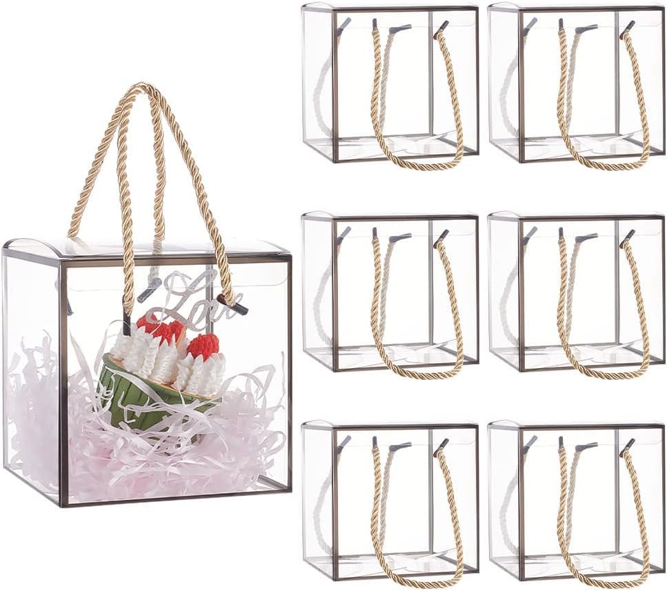 SATYAM KRAFT 6 Pcs Trasparent Black border Bag Goodie Bags Gift bag, gift For Christmas, new year Gifting, marriage Return Gifts, Birthday, Wedding, Party, Seasons Greetings (Black, Medium) (B0D6759N4W) Amazon Price History, Amazon Price Tracker