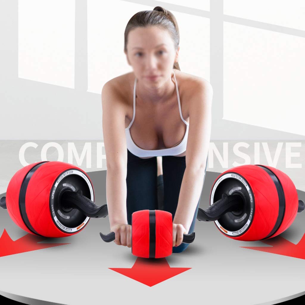 Ab Wheel Abdominal Exercise Roller Dual-Handle Fitness Wheel for Abdominal Training Device Training Full Body Roller Ab Roller (Purple)