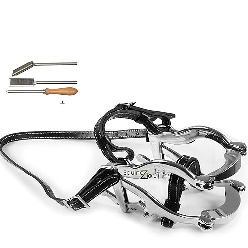 Equinez Tools Budget Climax Serie 4000 Espéculo con flotador de madera, hecho a mano, dental, equino