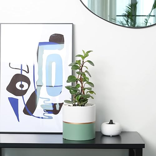 Miniatura 7 de Macetas de cerámica para interiores de 4.7 pulgadas, macetas mate con orificio de drenaje para decoración del hogar y la oficina (verde, blanco, con