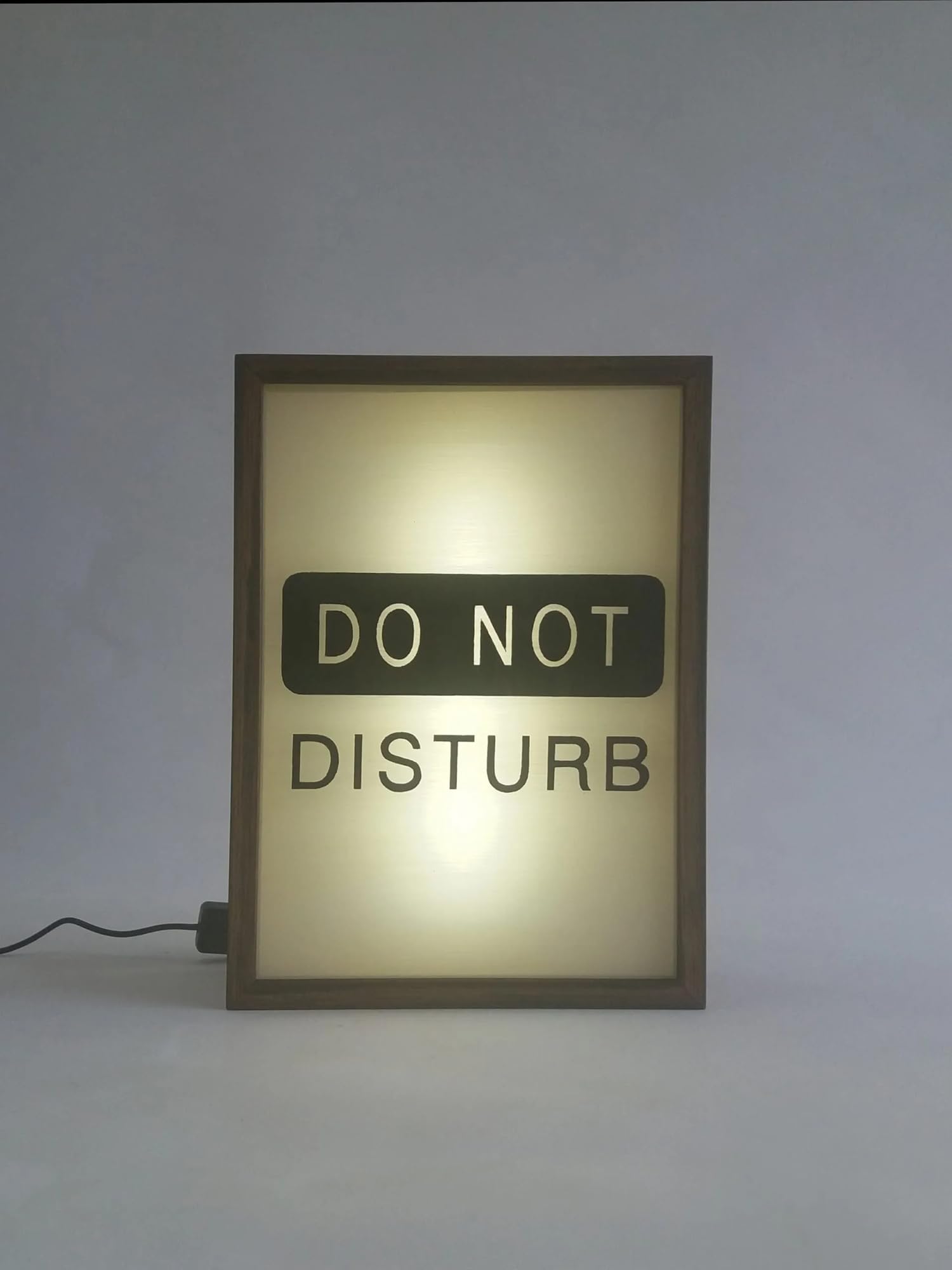DO NOT DISTURB RGB LED Neon Lightbox with Remote Control Professional Studio Podcast Radio Lights Sign for Cinema Cafes Home Wall Decor USB Powered