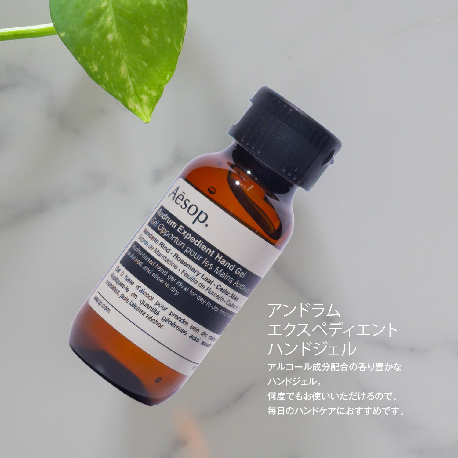 Amazon.co.jp: [ラッピング済み/ギフトセット] Aesop イソップ 