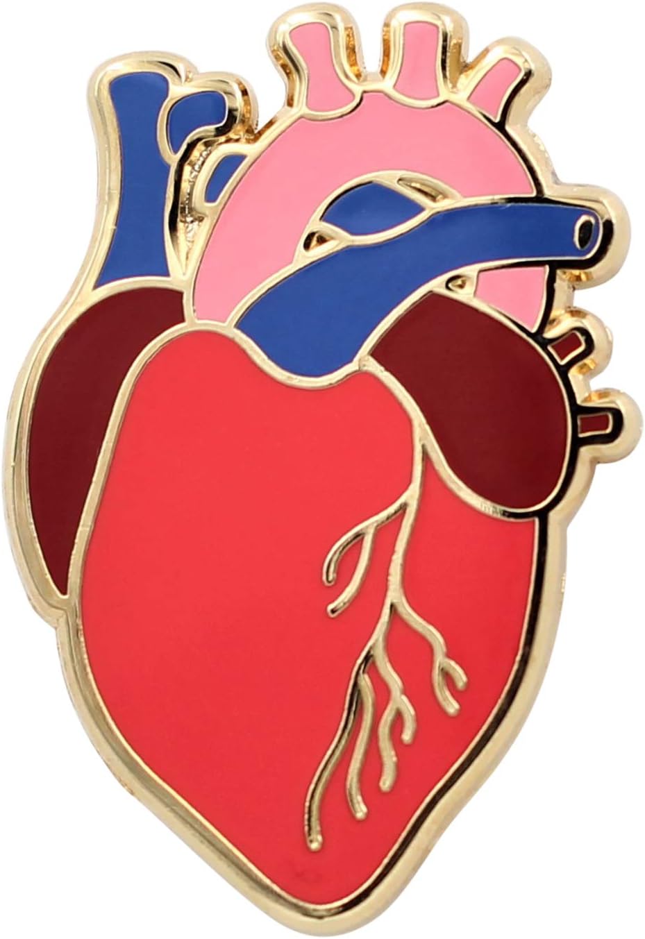 Anatomical Heart Pin - Realistic, Scientific Heart Enamel Pin - Lapel Pin for Valentine's Day, Medical Pinning Ceremony on Backpacks, Hats, Bags, Jackets & Tops