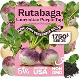 SVI 1750 Laurentian Rutabaga Seeds (Brassica Napus) – Yellow Turnip Rutabagas Seed Packets Swede Brassica Seed – Root Heirloom Vegetable Seeds in Fall Vegetable Garden and Outdoor Garden Beds