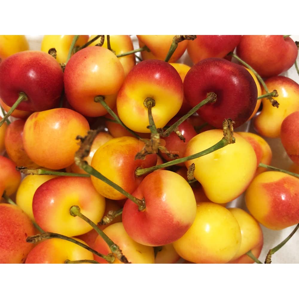 カナダ産チェリー 5kg クール便爆大号 Amazon.co.jp: アメリカ産／カナダ産 レイニアチェリー 高級 約1