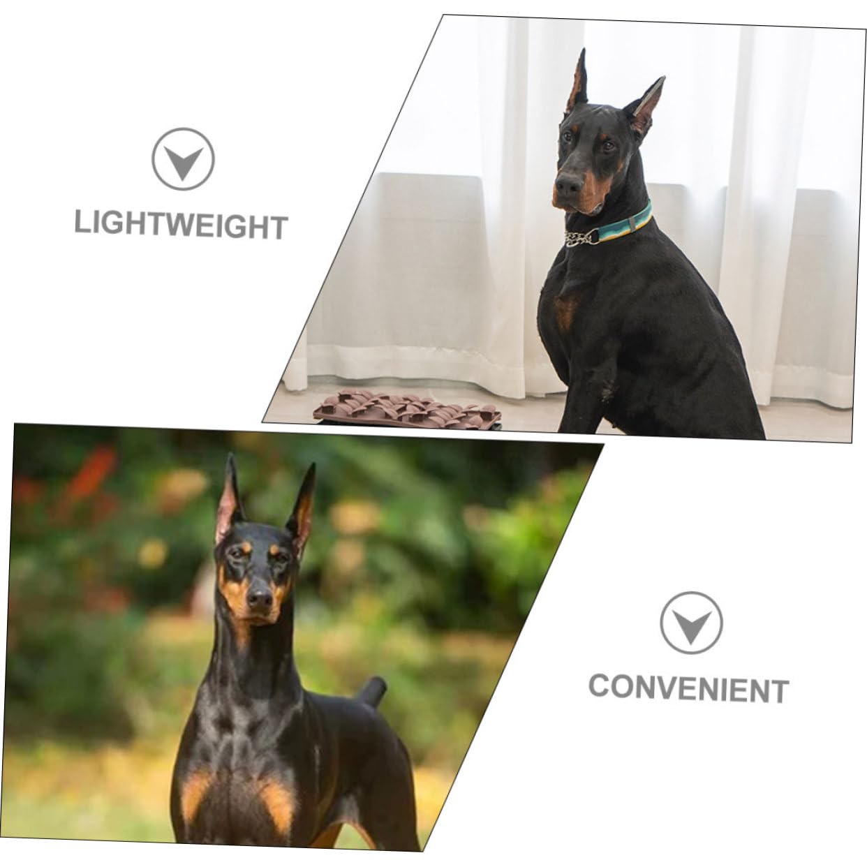 SUPVOX 5pares Soporte De Orejas De Herramienta De para Orejas De Cachorros Accesorios De para Reutilizable y Seguro