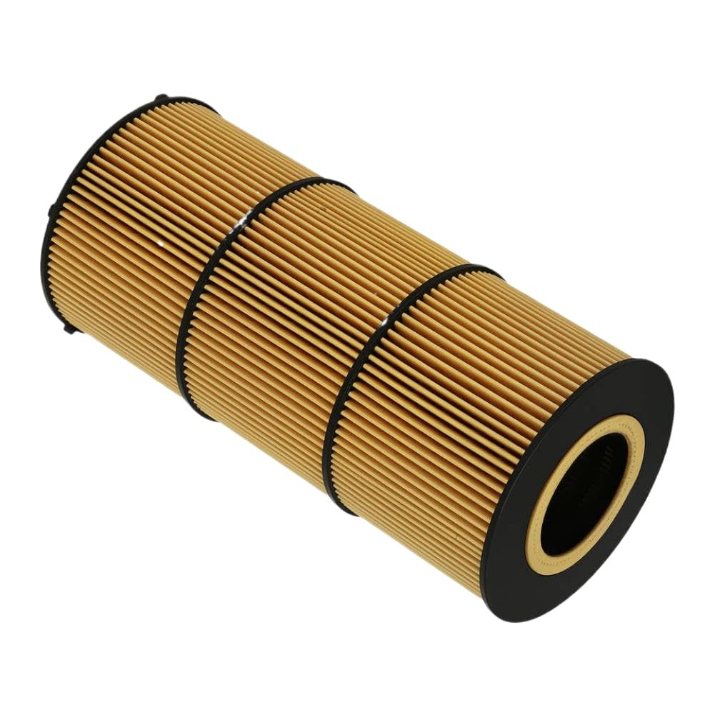 Juego de filtros de aceite compatible con modelos Western 4800SB, SF, TS Snowplow 2012-2016 – Reemplaza P551005 – Paquete de 6