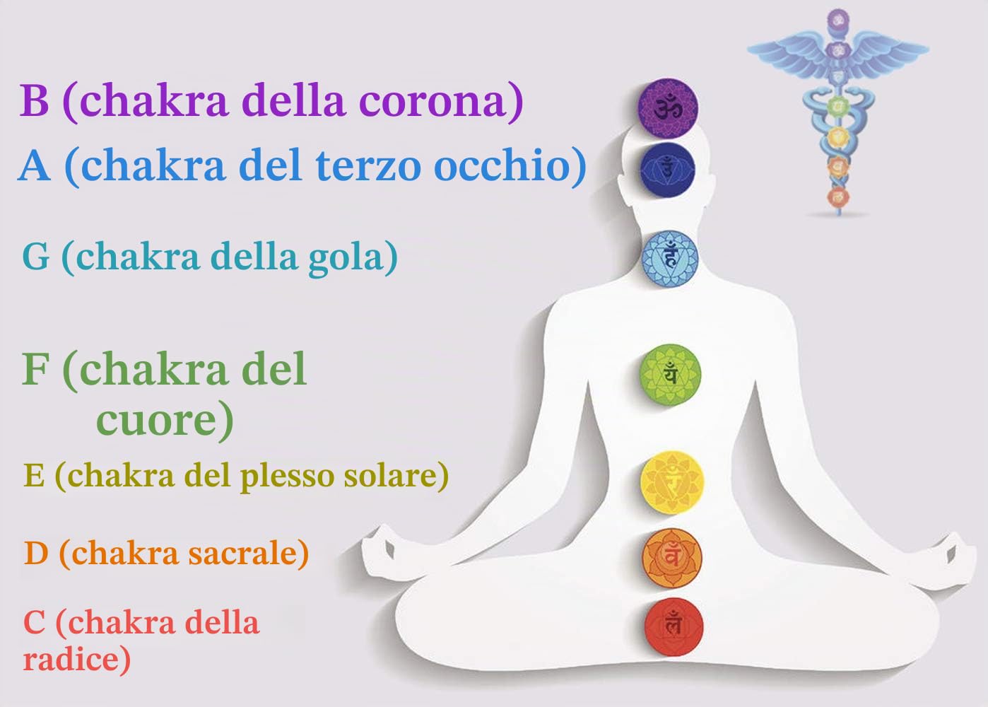 Campana tibetana da 20 cm in cristallo bianco smerigliato, in Fa, per il chakra del cuore, set con anello e mazzuola in camoscio, per rilassamento e meditazione