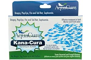 Kana-Cura - A True Masterpiece for Sublime Hair