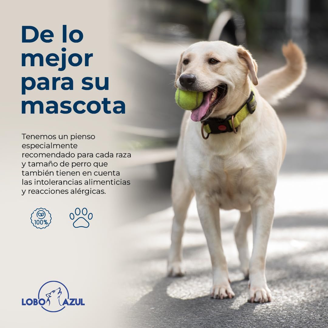 Pienso para Perros Grain Free Duck & Rabbit - Comida Natural e Hipoalergénica para Perros Adultos - Pienso sin Cereales, Rico en Proteínas de Pato y Conejo - 12kg - Lobo Azul Supreme