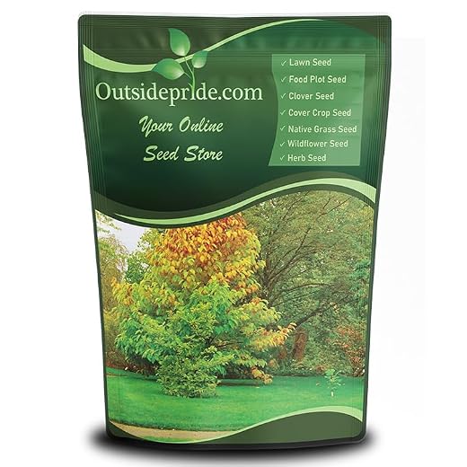 Outsidepride Hard Fine Fescue, Low Growing, Drought Tolerant, Shade Tolerant, Lawn, Turf Grass Seed - 25 LBS