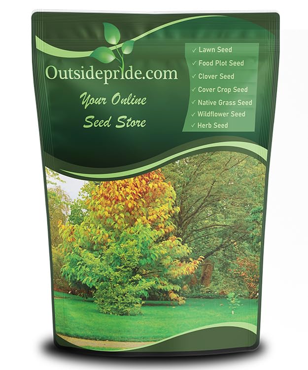 Outsidepride Hard Fine Fescue Grass Seed - 5 lbs. Low-Growing, Drought & Shade-Tolerant, OptiGrowth Coated Seed for Lawn & Turf, Ideal for Low-Maintenance, Dense, & Resilient Green Ground Cover